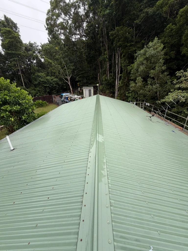 A tree-lined Far North Queensland roof after a soft wash