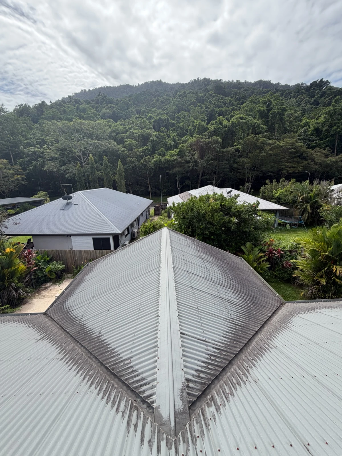 Roof Soft-Wash before pressure clean